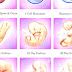 Pregnancy - Human Gestation Stages