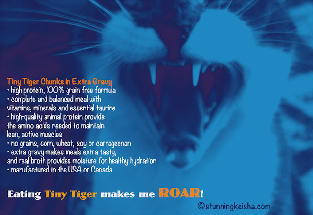 Feed Your Inner Tiger #ChewyInfluencer