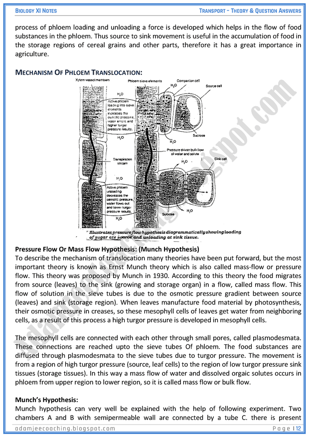 transportation-descriptive-question-answers-biology-11th