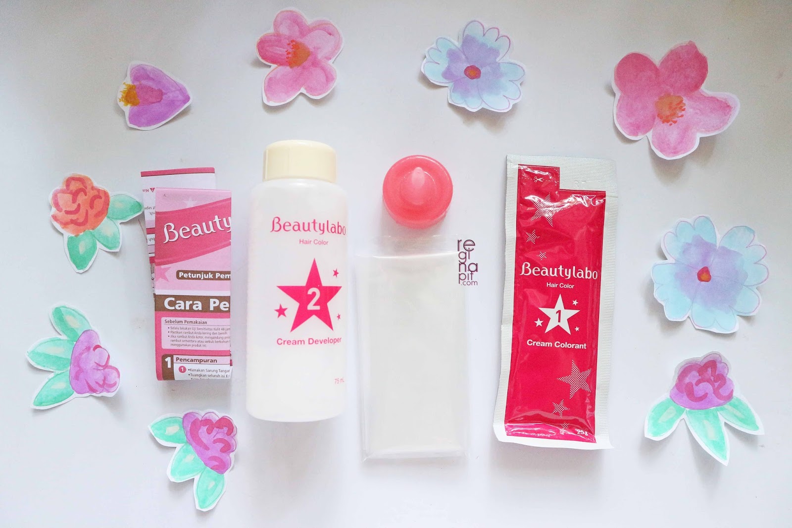  Review  Beautylabo  Raspberry  Pink  Cara Mudah Cat  Rambut  