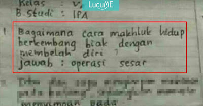 4 Jawaban Kocak Anak SD Ngejawab Soal IPA, Masuk Akal Tapi Nyeleneh