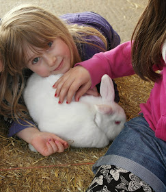 Petting Rabbits at Mead Open Farm