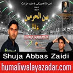 http://72jafry.blogspot.com/2014/04/shuja-abbas-zaidi-nohay-2005-to-2015.html