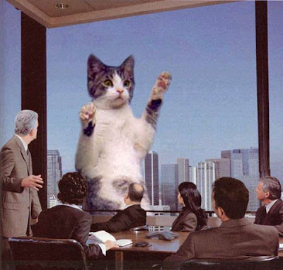 Watch as Catzilla Attacks Seen On www.coolpicturegallery.us