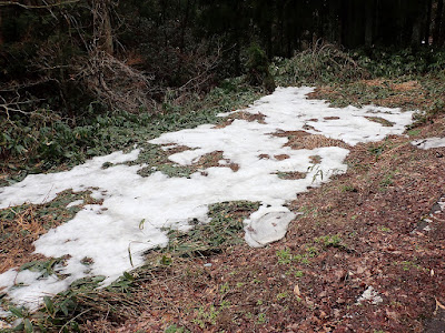 三国山キャンプ場　3月　途中の残雪