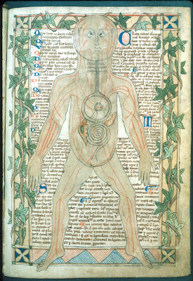 13th century medical miscellany