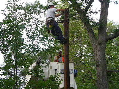 Men working