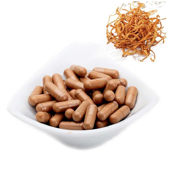 Cordyceps Militaris Capsules in Manipur | Mushroom capsules and supplements in Manipur | MycoNutra® mushroom supplements