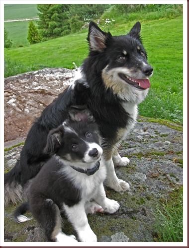 Regn og atter regn_110611_8771