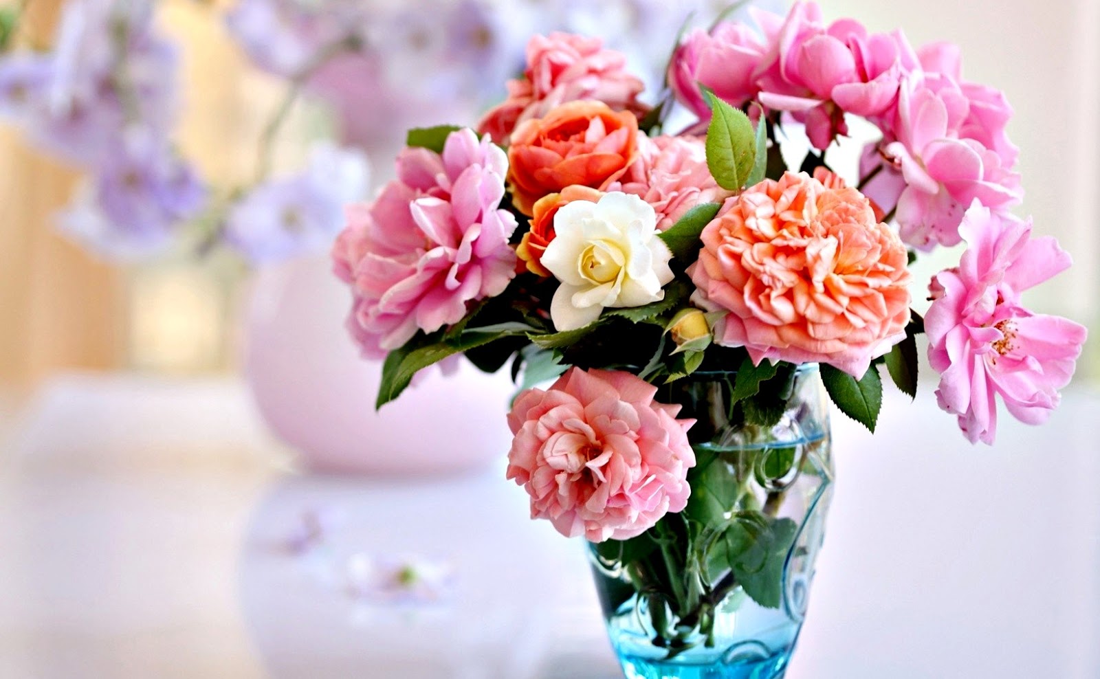 Gambar Bunga Mawar Untuk Instagram - Informasi Seputar ...