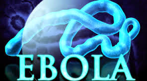 Virus EBOLA