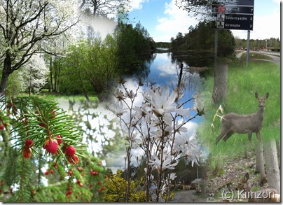 Collage_Ältapromenad