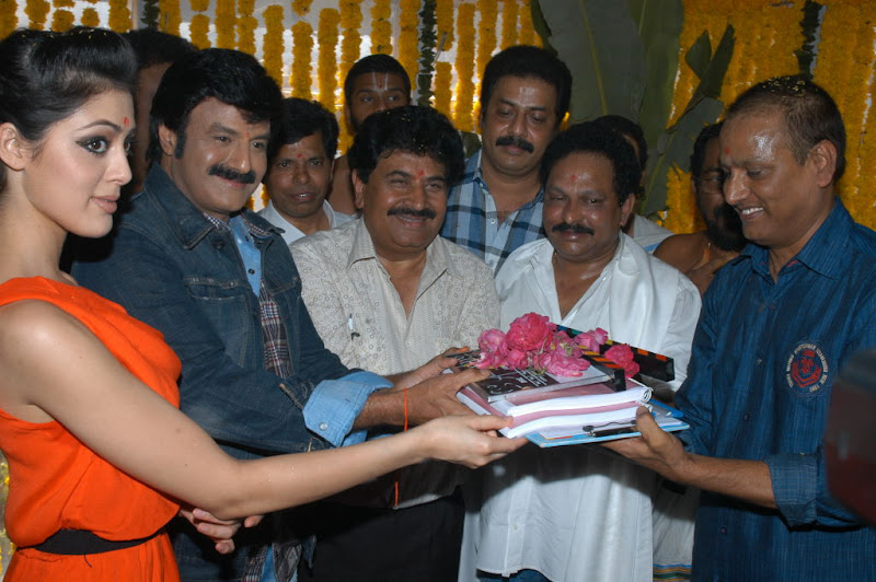 Bala Krishna New Movie Launch Photos show stills