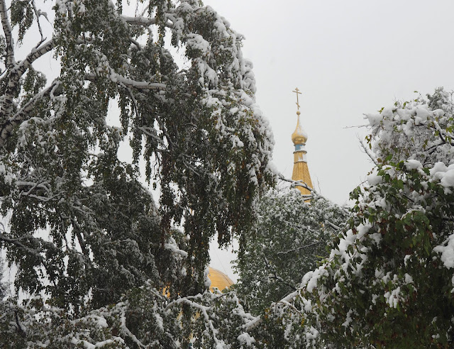 Новосибирск, Нарымский сквер - снежная осень