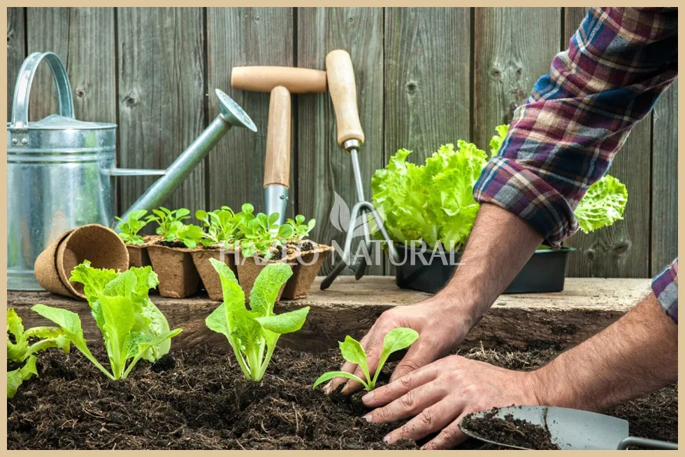 Cultivar Verduras en Casa