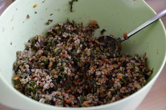 MIT LINSEN, REIS UND GRÜNKOHL GEFÜLLTE PAPRIKA IN TOMATENSAUCE