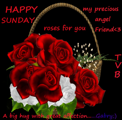 Happy Sunday Friends