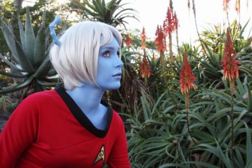 Blue Star Trek Red Shirt cosplay