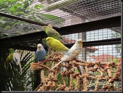 IMG_5432 copy