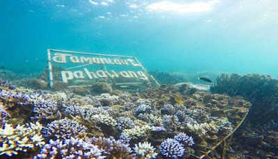 Taman Laut Pulau Pahawang