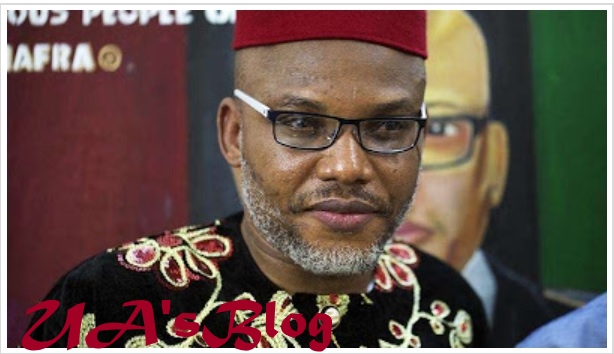 Biafra: Drama As IPOB Sacks Kanu Over Honouring His Dog Above Martyres