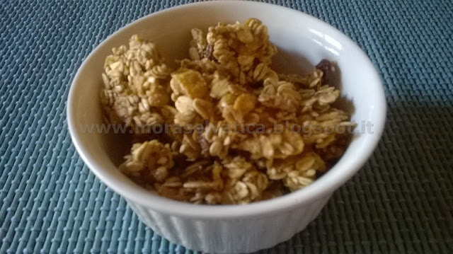 muesli-sesamo-uvetta-colazione