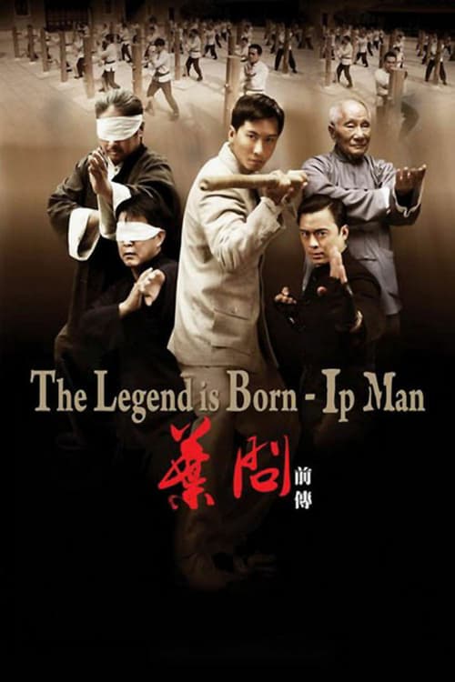 [HD] Ip Man. La leyenda 2010 Online Español Castellano