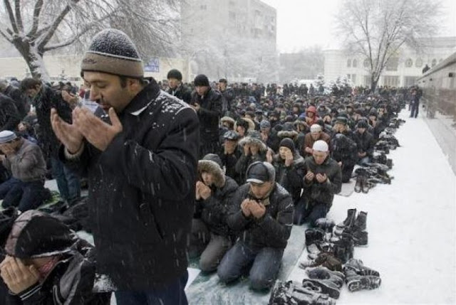 Hasil gambar untuk muslim islandia