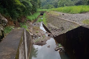 Ratusan Hektar Sawah di Soppeng Terancam Gagal Tanam, Ini Harapan Warga