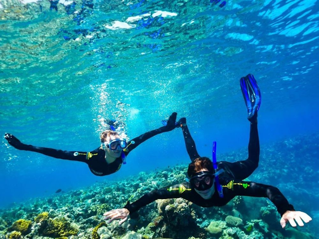 8 Tips Mudah Untuk Pemula yang Ingin Melakukan Snorkeling