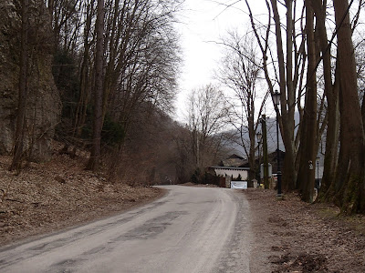 Ojcowski Park Narodowy, Dolina Sąspowska, grzyby 2019, grzyby zimowe, grzyby w Ojcowie