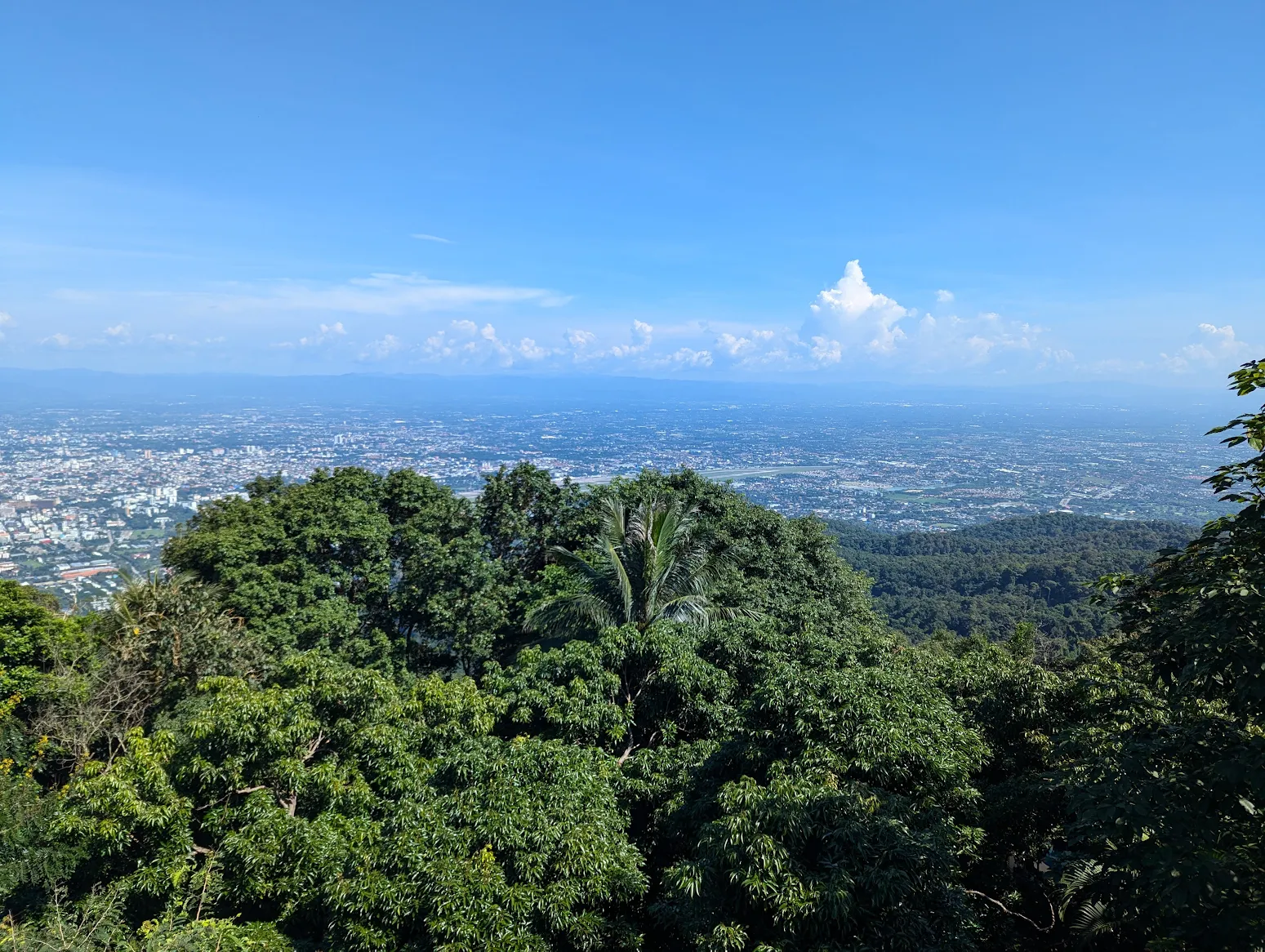 展望台からのView