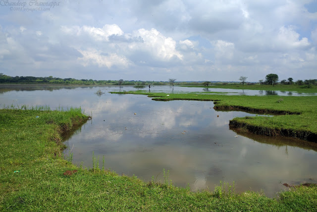 Hesaraghatta Lake