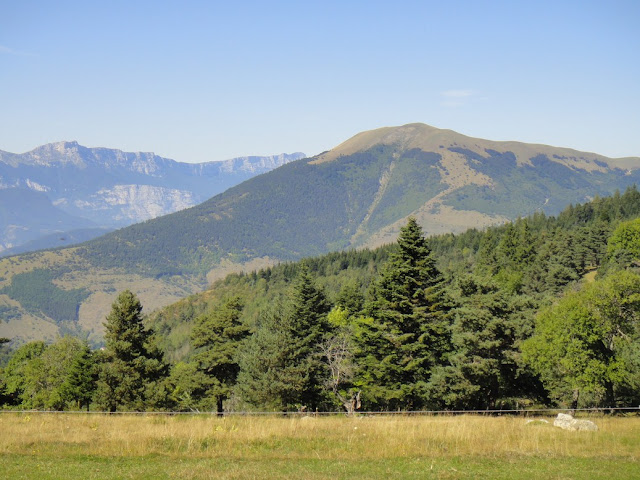 Col du Sénépi