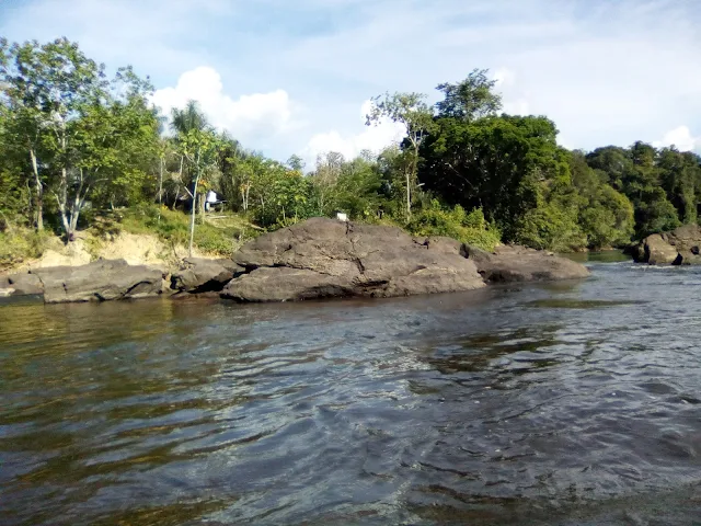 "Rocks in the Suriname river located in the Amazon rainforest of Sipaliwini"