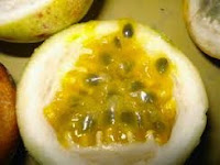 MENJAGA KESEHATAN DENGAN BUAH MARKISA KUNING