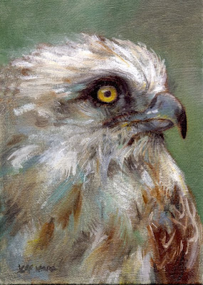 raptor bird oil painting