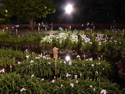 山田池公園・花しょうぶ園のライトアップ