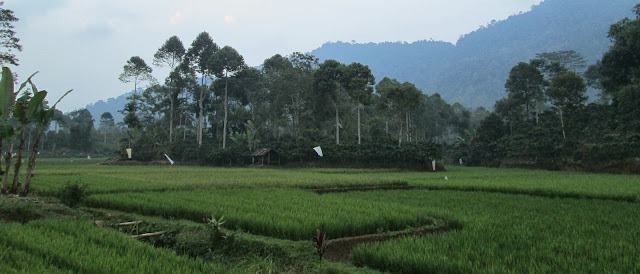 USUL POLOS MASYARAKAT UNTUK PROGRAM HKM