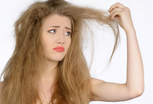 8 Cara Mengatasi  Rambut  Kering  dengan Bahan Alami Info 