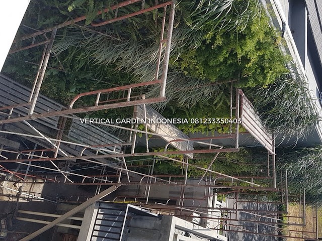 VERTICAL GARDEN INDONESIA SPESIALIS JASA PEMBUATAN VERTICAL GARDEN DI KEDIRI DAN DI SELURUH WILAYAH KEDIRI DENGAN TENAGA YANG PROFESIONAL DAN DAPAT DI PERCAYA YANG SELALU MENGUTAMAKAN SEBUAH MUTU DAN KUALITAS PEMASANGAN VERTICAL GARDEN/TAMAN DINDING, JASA TUKANG TAMAN VERTICAL KEDIRI, JASA VERTICAL GARDEN KEDIRI