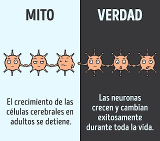 Mitos y verdades sobre la salud