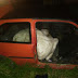 Homens furtam boi e fogem com o animal dentro de carro em Santa Catarina