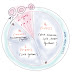 Cellcycle-Mitosis-Meiosis | Notes-by-UK-Sir | Cell-Bio- 16
