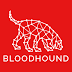 BloodHound - Six Degrees of Domain Admin