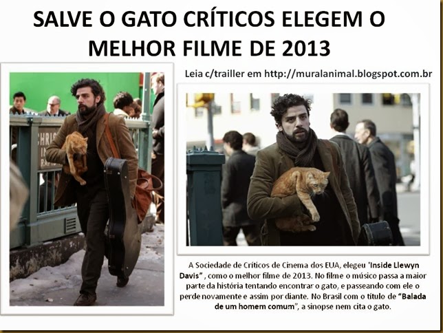 SALVE O GATO CRÍTICOS ELEGEM O MELHOR FILME