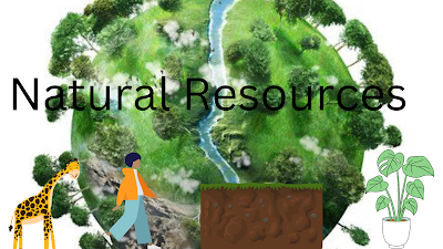 Natural Resources- Example, Definition, Types, In Full Detail