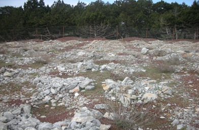 Γκιώνα  8-4-2010 039