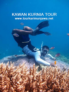 tour wisata tahun baru Karimunjawa