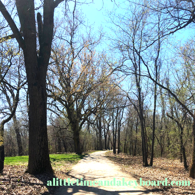 Hiking a dirt trail through the woods at Pratt's Wayne Woods